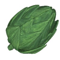 artichoke.jpg