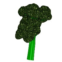 broccoli.jpg