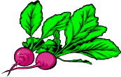 radishes.gif